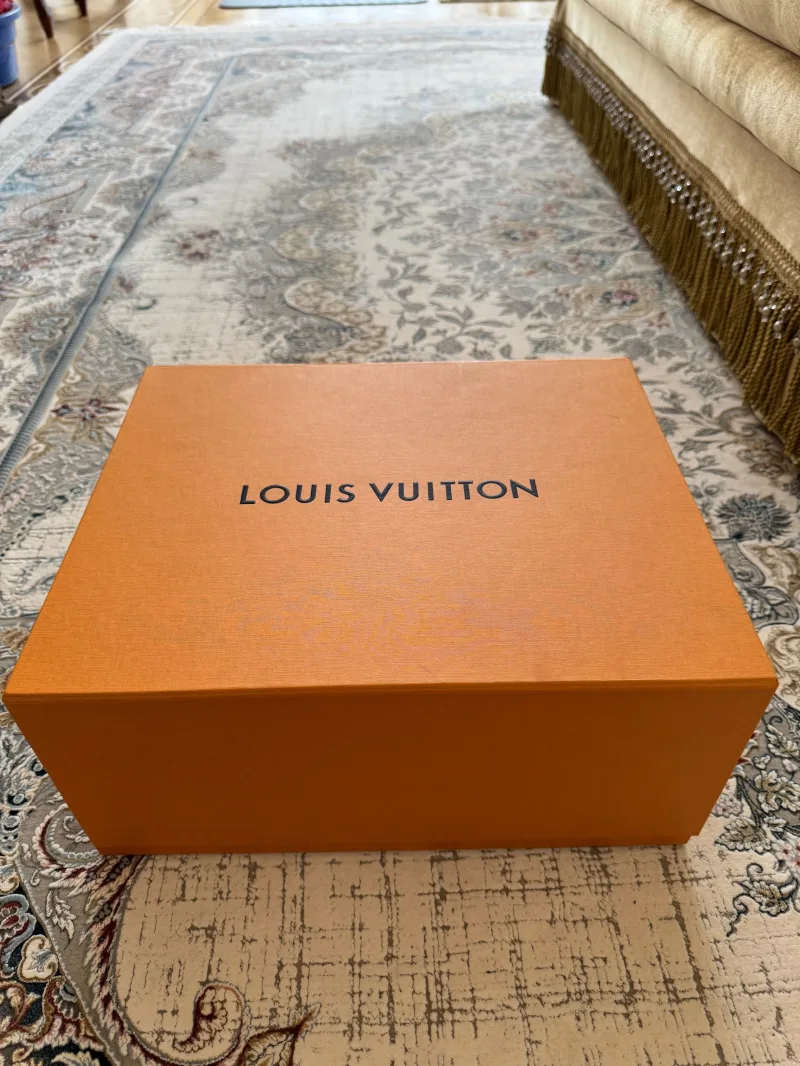 Вечерняя сумка Louis Vuitton - Вечерняя сумка Louis Vuitton - View 6